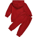 Autumn Winter Toddler Baby Girls Clothes Children Boys Cotton Letter Hoodies+Pants 2PCS Set Kids Fashion Sports Costume 0-3Years